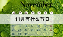 11月有什么节日