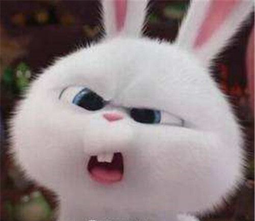 阿西吧什么意思