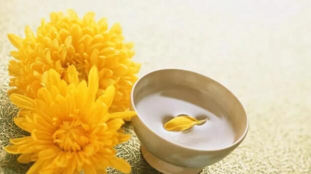 重阳节诗句大全