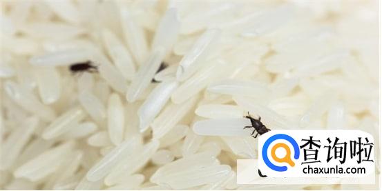 大米生牛子有办法可以去除吗