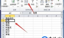 Excel电子表格如何自动排序（2种类型）？