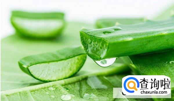 擦伤可以用芦荟胶吗