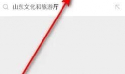 怎么在微信上领取山东省级消费券