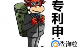 专利许可纠纷案例通过什么法律来判决？