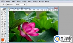 Photoshop运用吸管工具选取颜色