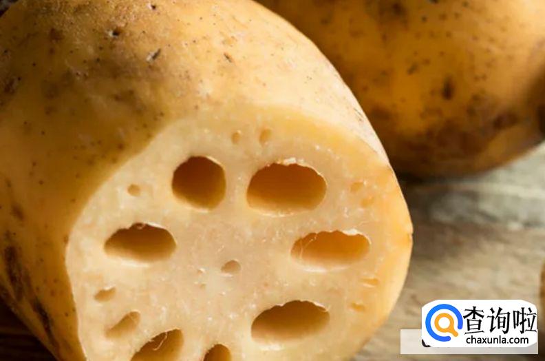 怎样区分粉藕和脆藕