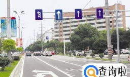 可变导向车道线怎么走