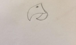 如何画火烈鸟 火烈鸟简笔画教程