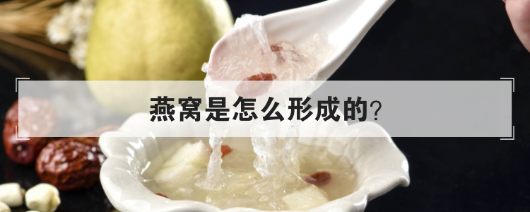 燕窝是怎么形成的