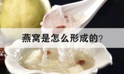 燕窝是怎么形成的