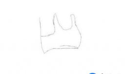 简单快速的画腹肌