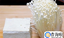 金针菇豆腐的做法是什么