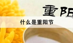 什么是重阳节