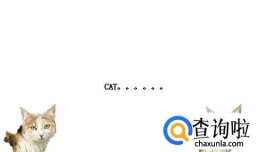 三年级英语绘本怎么做