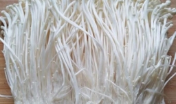 红油金针菇怎么做