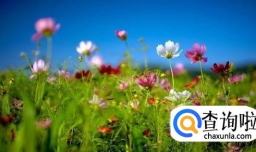 春天有哪些身边的美景？