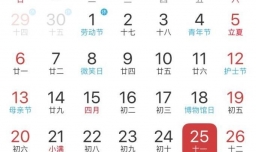 蔷薇花如何扦插