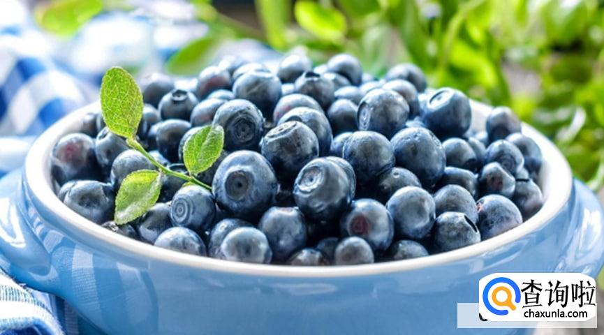 蓝莓越小花青素真的越多吗