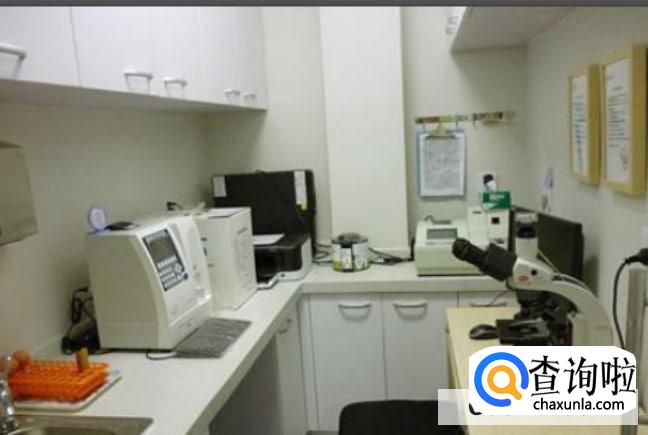 附近宠物医院怎么找