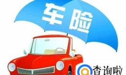 车险保险包含哪些项目