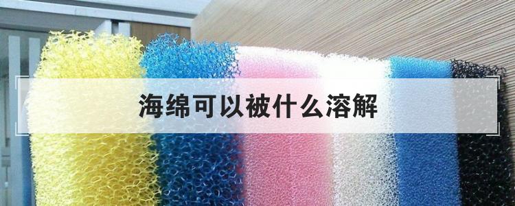 海绵可以被什么溶解