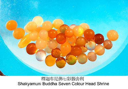 舍利子是怎么形成的