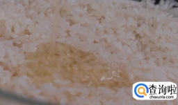 如何做皮蛋瘦肉粥