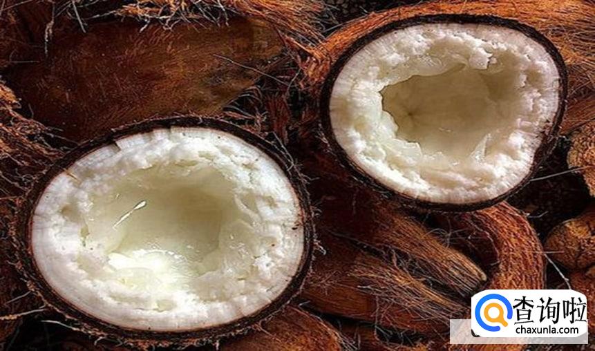 为什么椰子里面有水