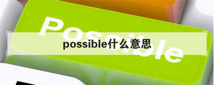 possible什么意思