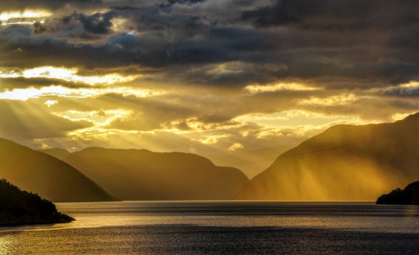 人工选择和自然选择的区别