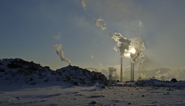 环境污染的毒作用