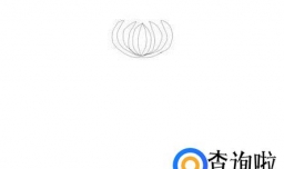 怎样简笔画菊花