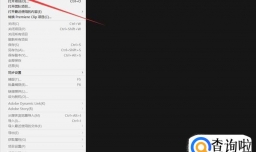 用PR修复视频画面抖动效果