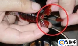 小龙虾如何快速去除虾线
