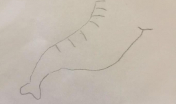 怎么画卡通大象