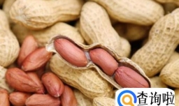 孩子吃什么能提高记忆力