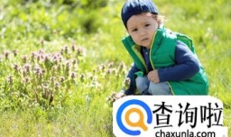 郑姓男孩起名字大全