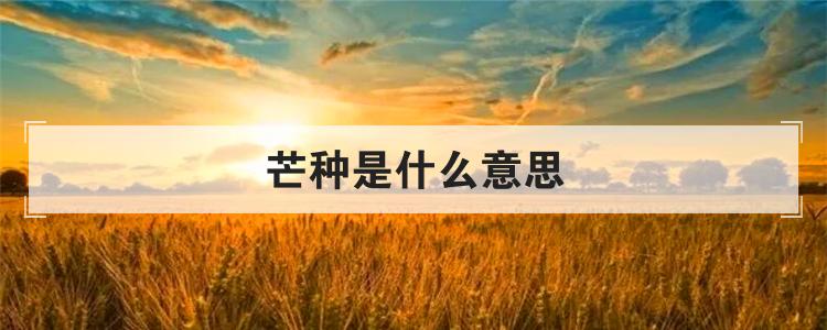 芒种是什么意思