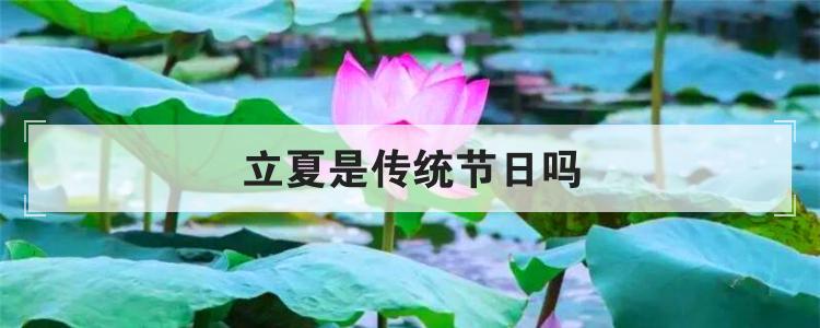 立夏是传统节日吗