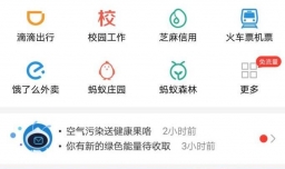 支付宝如何查看已使用的余额支付额度