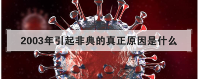 2003年引起非典的真正原因是什么