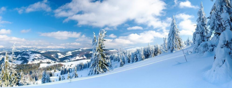 关于雪的成语有哪些