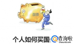 个人如何买国债