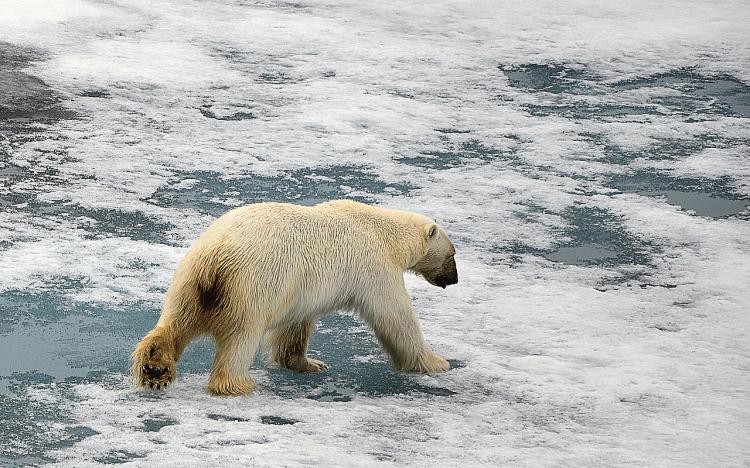 请勿自误是什么意思
