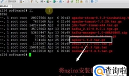 如何在Linux系统中安装Nginx服务器