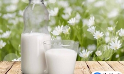 中老年人吃哪些食物补钙。