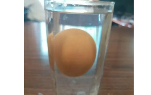 鸡蛋为何能在盐水中漂浮起来