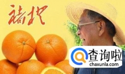 中国橙子排名,橙子品种排名