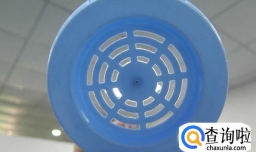 怎么养殖仙人掌、仙人球？如何才能养好？