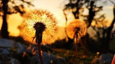 一味地付出是否能换回丈夫的爱？如何坚守初衷捍卫婚姻的幸福呢？